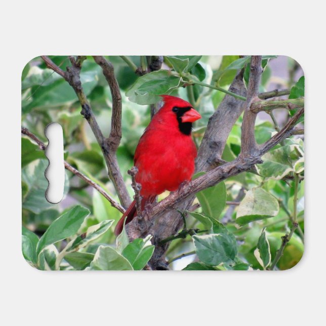 Cardinal Kneeling Pad / Stadium Cushion (Front Horizontal)