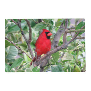 Cardinal Laminated Placemat