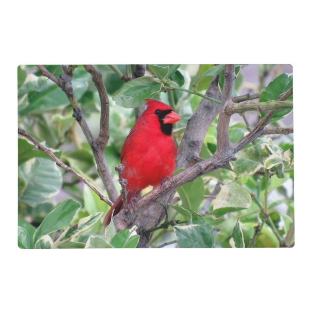 Cardinal Laminated Placemat (Front)