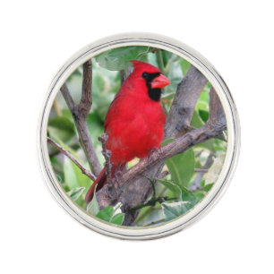 Cardinal Lapel Pin