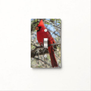 Cardinal Light Switch Cover
