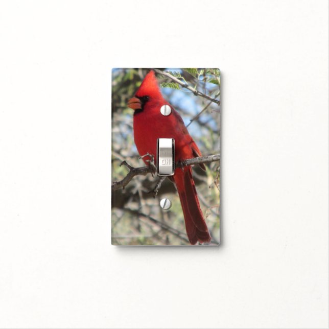 Cardinal Light Switch Cover (In Situ)