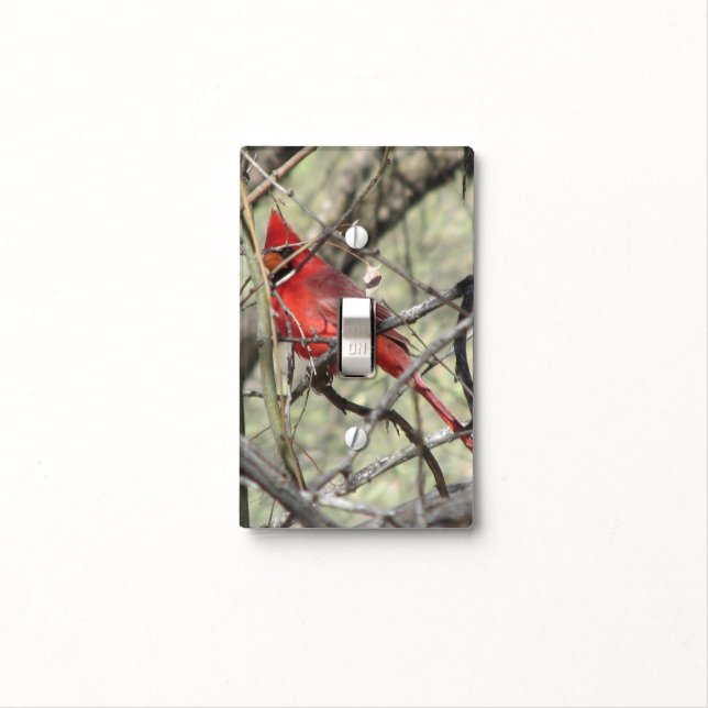 Cardinal Light Switch Cover (In Situ)