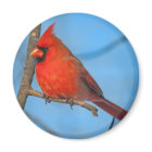 Cardinal