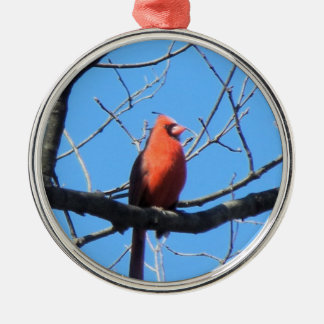 Cardinal Metal Ornament