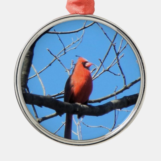 Cardinal Metal Ornament (Front)