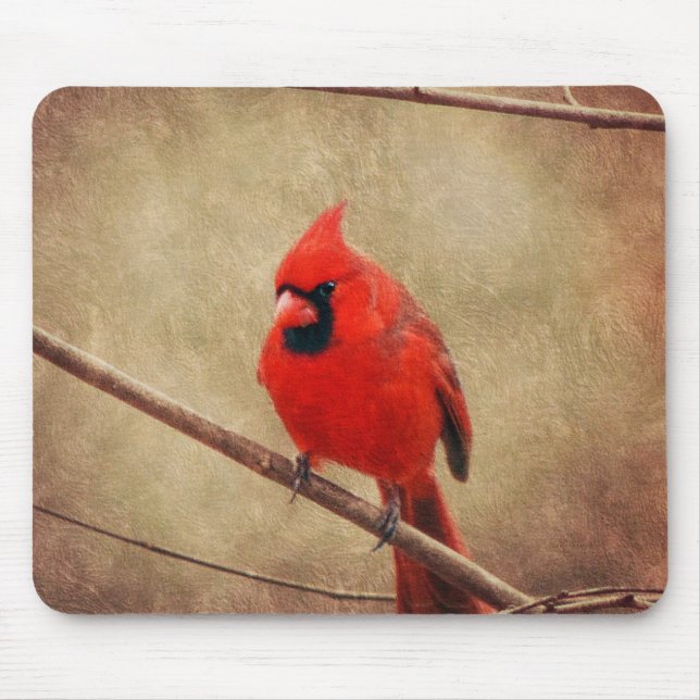 Cardinal Mouse Pad (Front)