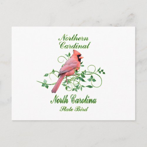 Cardinal North Carolina State Bird Postcard