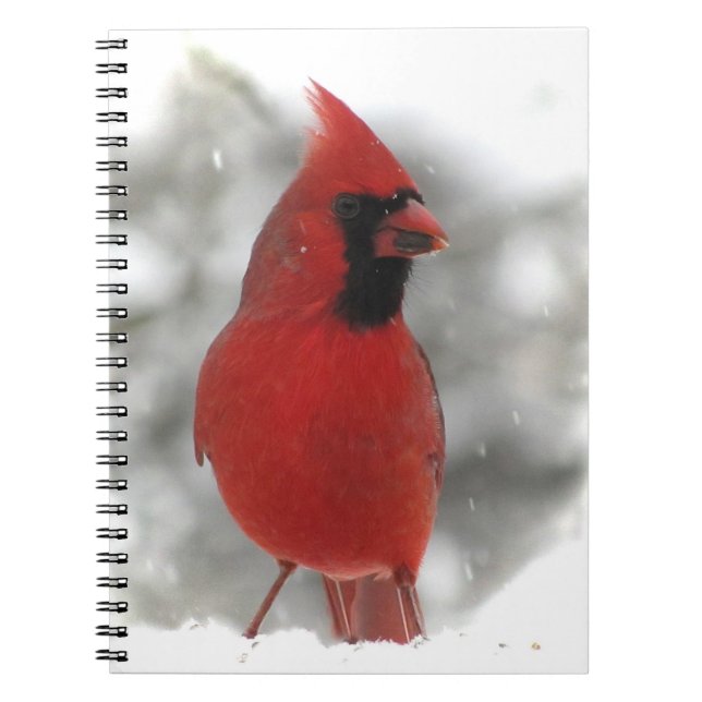 Cardinal Notebook (Front)