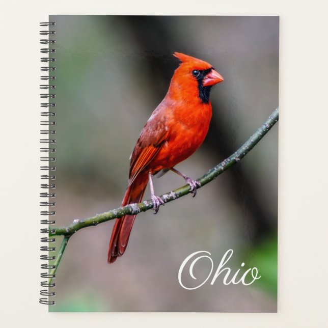 Cardinal Ohio Weekly/Monthly Planner (Front)
