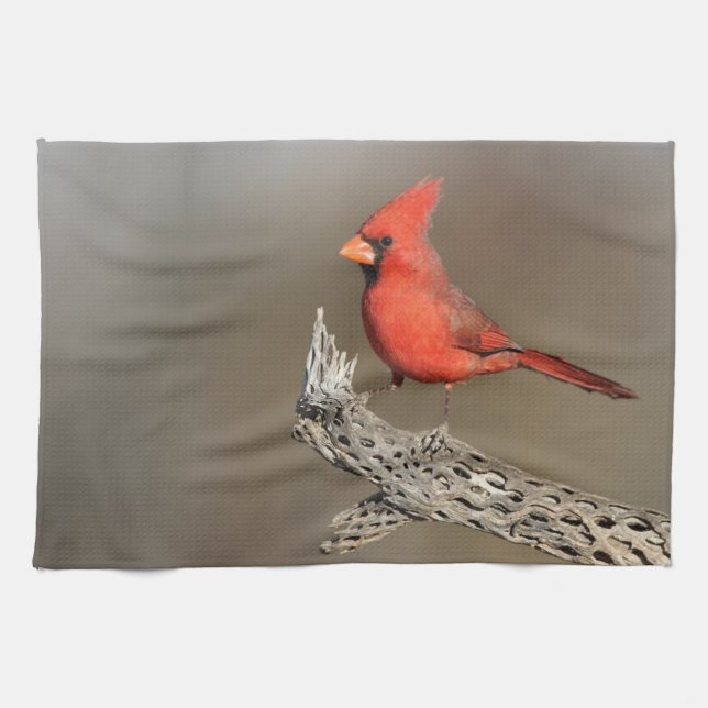 Cardinal on a cholla rib  kitchen towel (Horizontal)