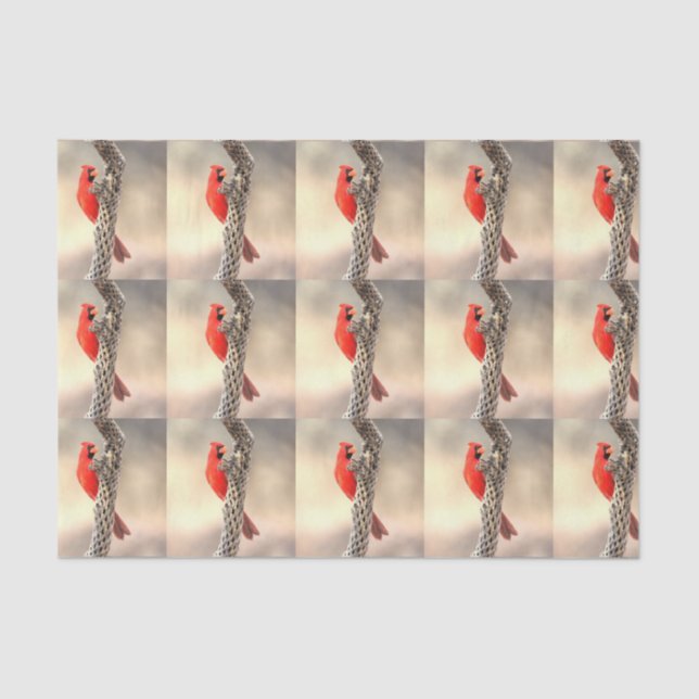 Cardinal on a Cholla Tissue Paper (Front)