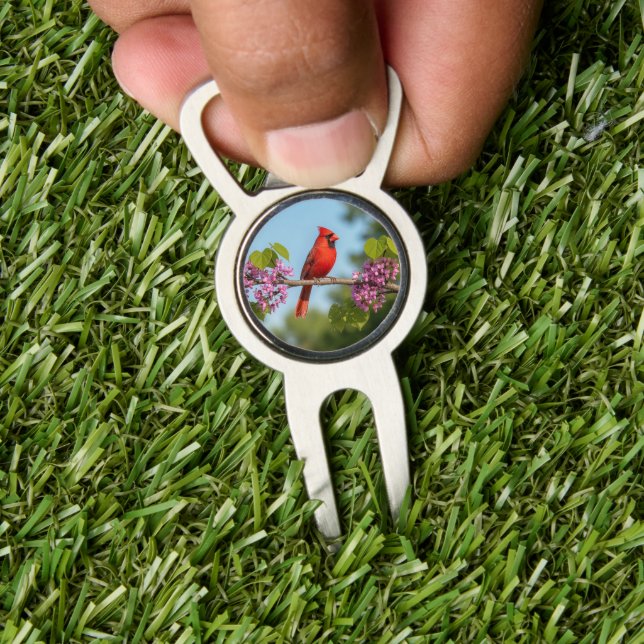 Cardinal on a Redbud Branch Divot Tool (Insitu 1)