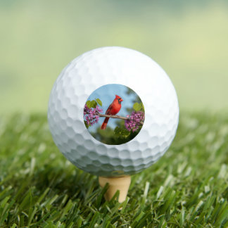 Cardinal on a Redbud Branch Golf Balls