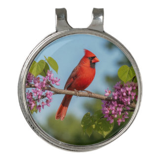 Cardinal on a Redbud Branch Golf Hat Clip