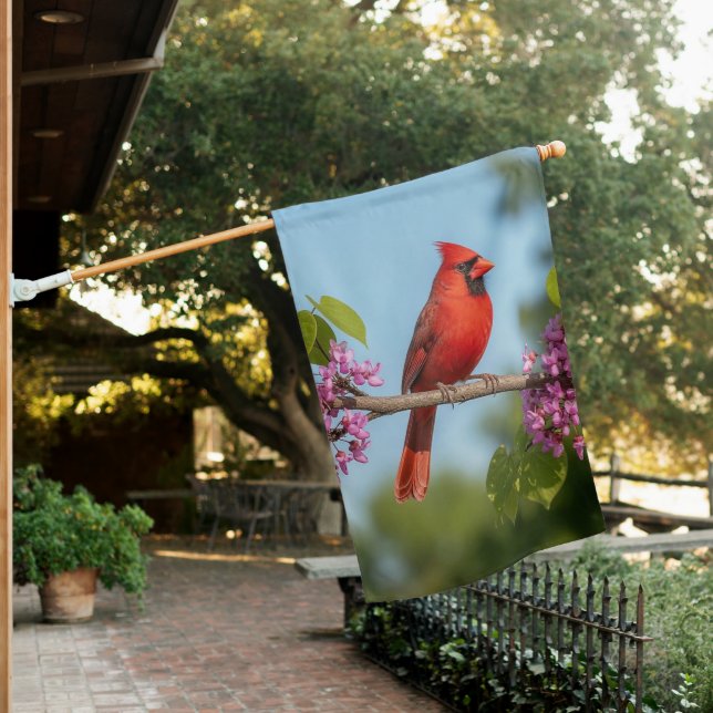 Cardinal on a Redbud Branch House Flag (In SItu)