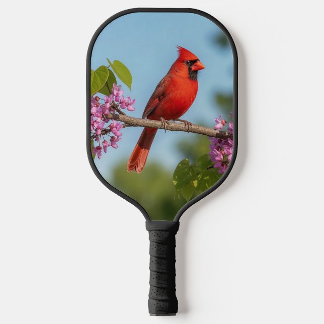Cardinal on a Redbud Branch Pickleball Paddle (Front)