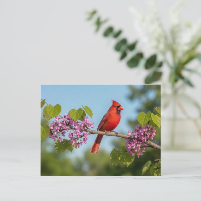Cardinal on a Redbud Branch Postcard (Standing Front)