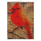 Cardinal on Birch (Front)