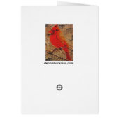 Cardinal on Birch Cards (Back)