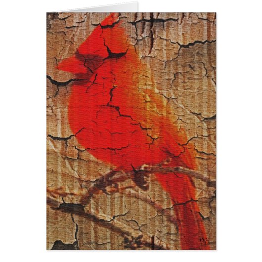 Cardinal on Birch Cards (Front)