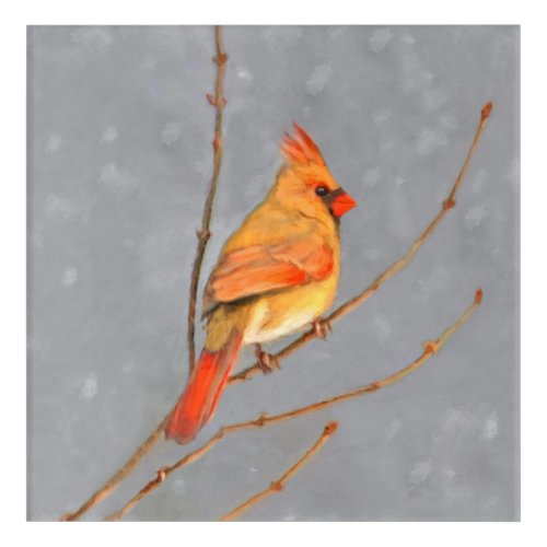 Cardinal on Branch Painting _ Original Bird Art