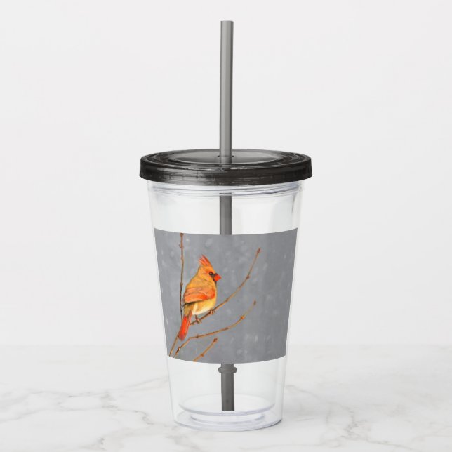 Cardinal on Branch Painting - Original Bird Art Acrylic Tumbler (Front)