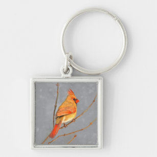 Cardinal on Branch Painting - Original Bird Art Keychain