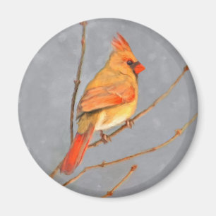 Cardinal on Branch Painting - Original Bird Art Magnet