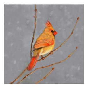 Cardinal on Branch Painting - Original Bird Art Poster