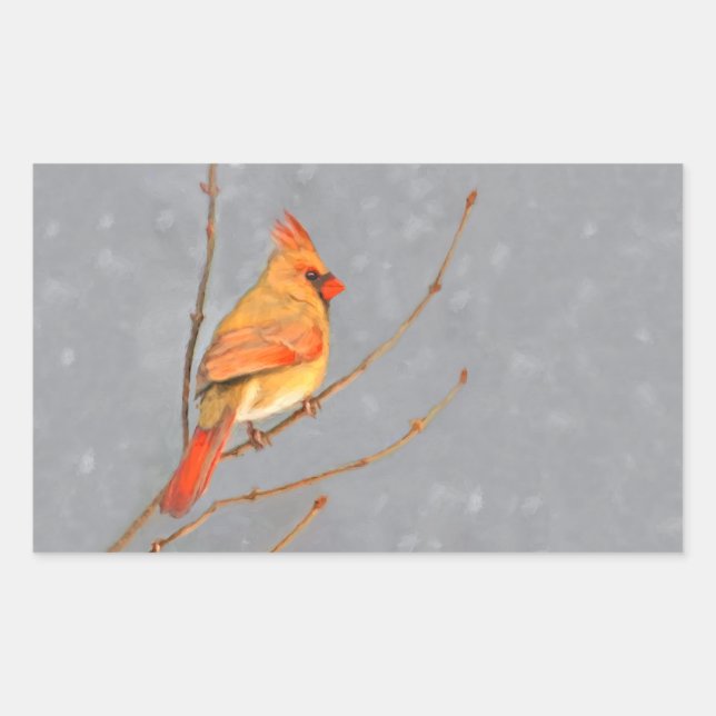 Cardinal on Branch Painting - Original Bird Art Rectangular Sticker (Front)