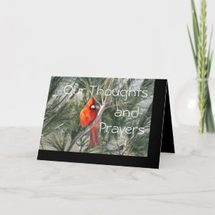 Cardinal on Pine Tree-customize any attendant Card