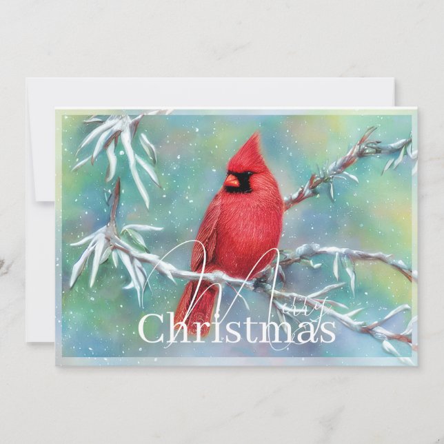 Cardinal on snowy branch budget Christmas Holiday Card (Front)