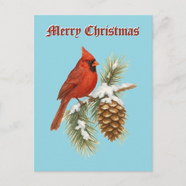 Cardinal On Snowy Pine Tree Christmas Holiday Postcard (Front)