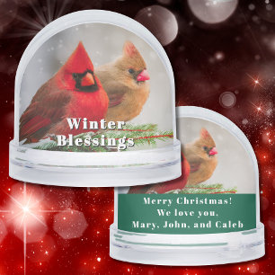 Cardinal Pair in Pine Tree Winter Greetings Custom Snow Globe