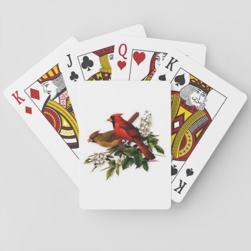 Cardinal Pair on a Playing Card Deck