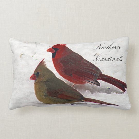 cardinal pillow pet