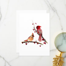 Cardinal Pair Watercolor
