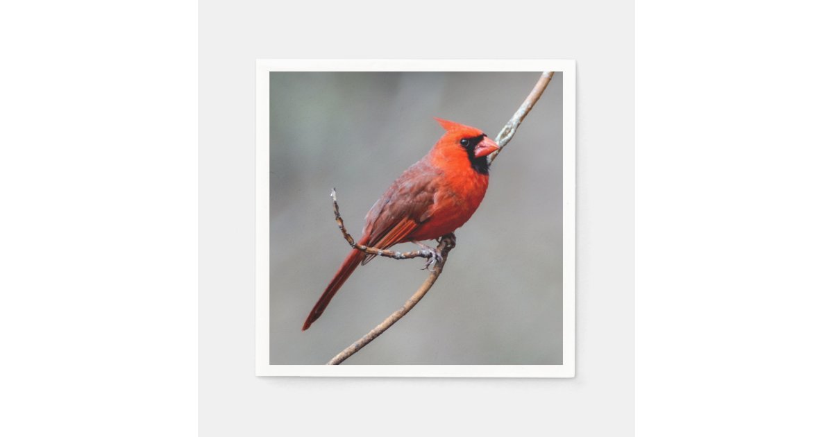 Cardinal Paper Napkin | Zazzle