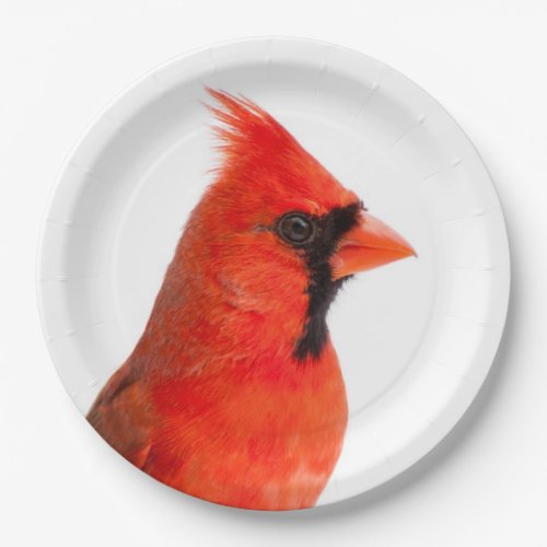 Cardinal Paper Plates