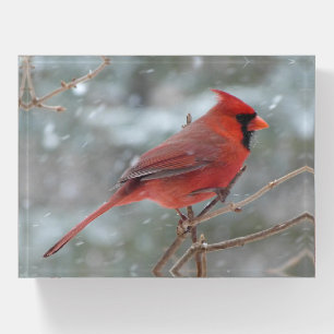 CARDINAL PAPERWEIGHT