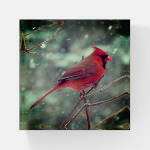 CARDINAL PAPERWEIGHT