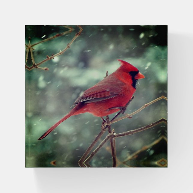 CARDINAL PAPERWEIGHT (Front)