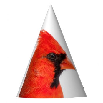 Cardinal Party Hat by PixLifeBirds at Zazzle