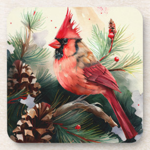 Cardinal Perched in Evergreen Tree with Pinecones Beverage Coaster