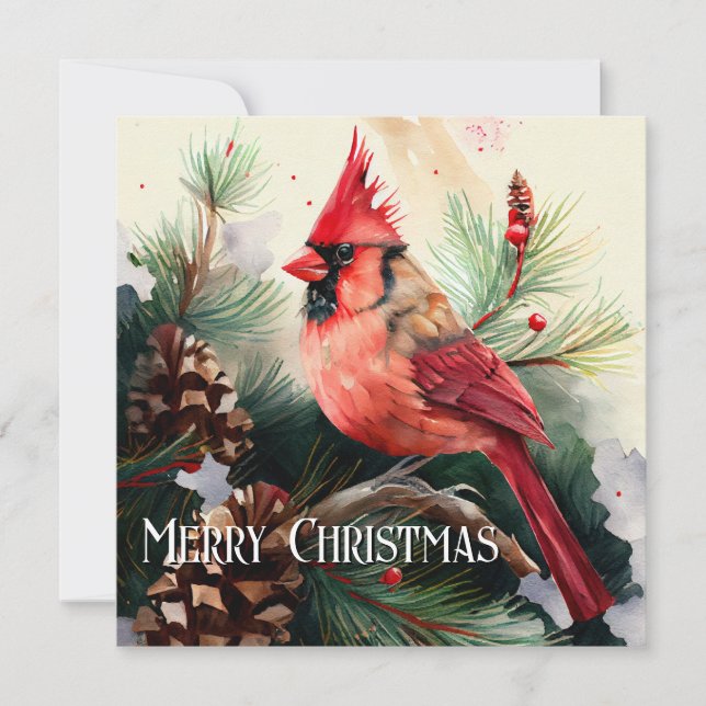 Cardinal Perched in Evergreen Tree with Pinecones Holiday Card (Front)