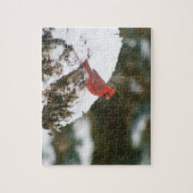 Cardinal Perched on a Snowy Bush