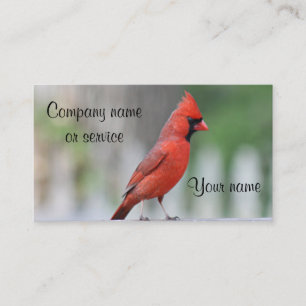 Cardinal photo business card