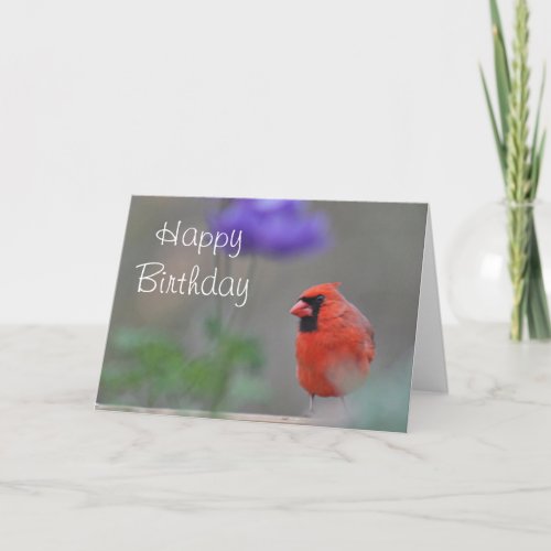 Cardinal photo Happy birthday Card