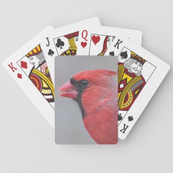 Cardinal Photo Playing Cards by backyardwonders at Zazzle